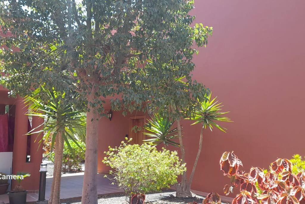 Apartment Cumbre Vieja Fuerteventura Corralejo Bagian luar foto