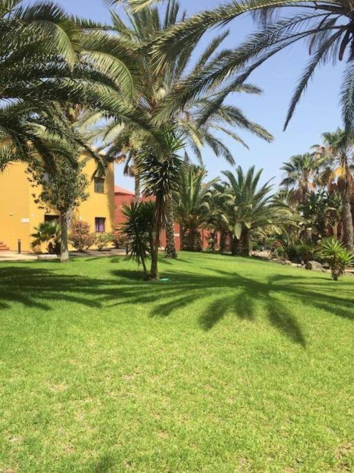 Apartment Cumbre Vieja Fuerteventura Corralejo Bagian luar foto