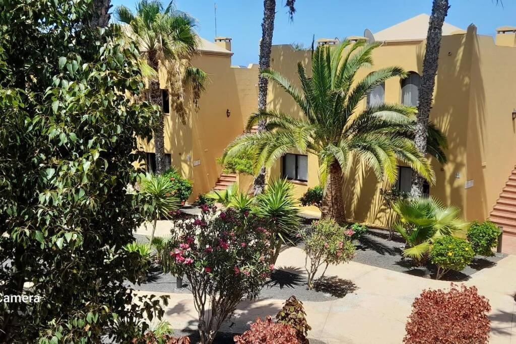 Apartment Cumbre Vieja Fuerteventura Corralejo Bagian luar foto